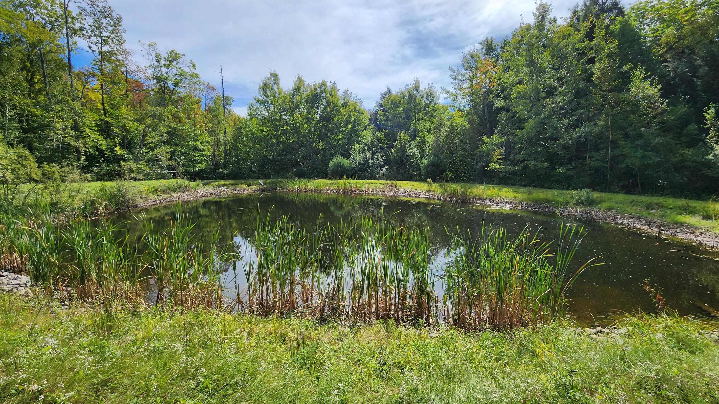 2802 Kennebec Road Newburgh, ME 04444 - Photo 76 of 100 20220917_115637