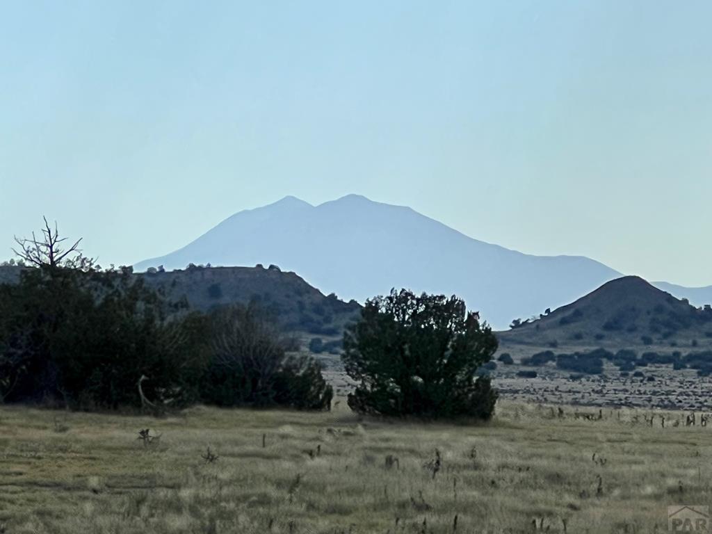 93.9 County Road 93.9 Model, CO 81059 - Photo 2 of 40