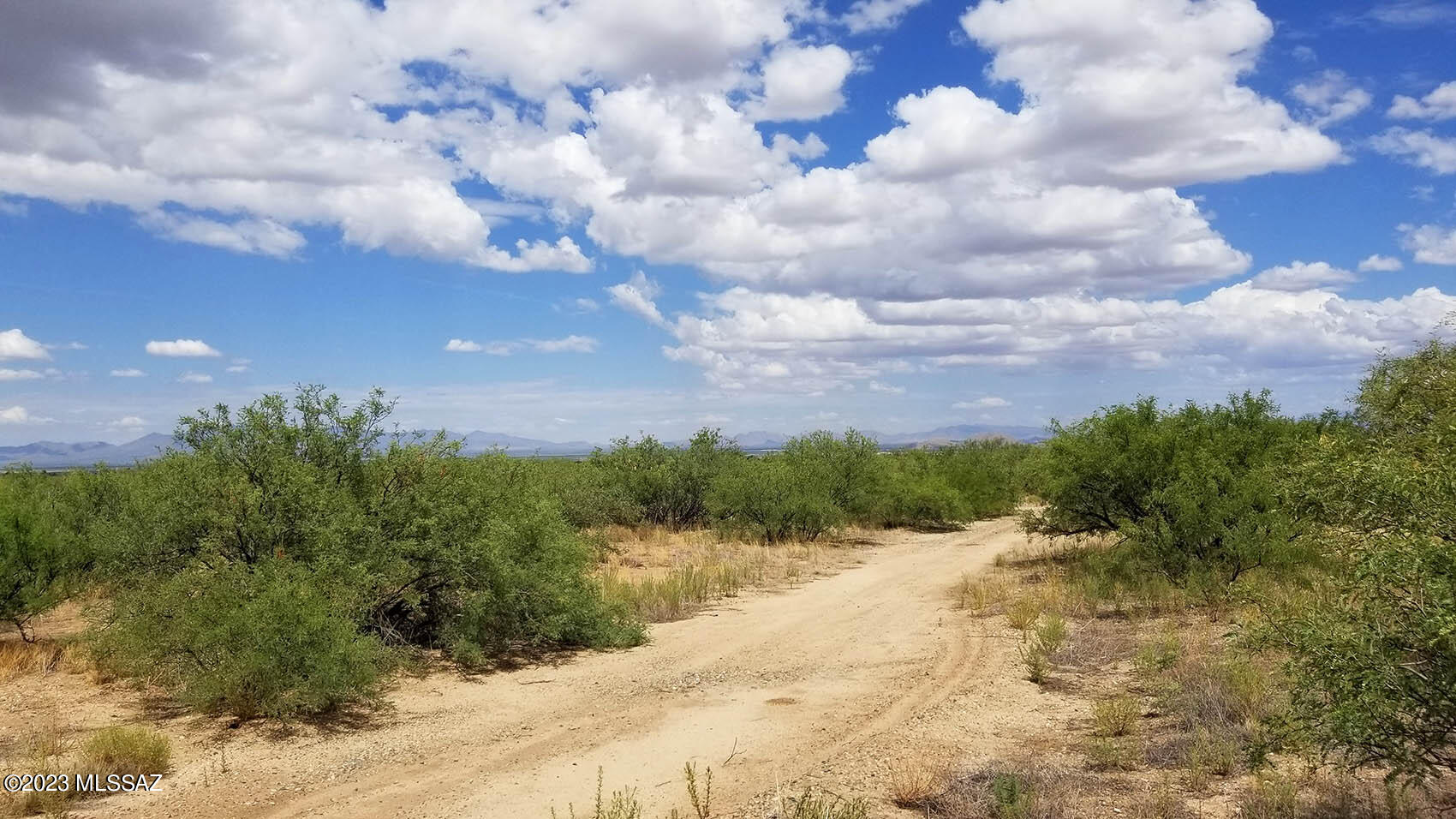 1-lot West Birch Road, Unit 8 Cochise, AZ 85606 - Photo 5 of 11