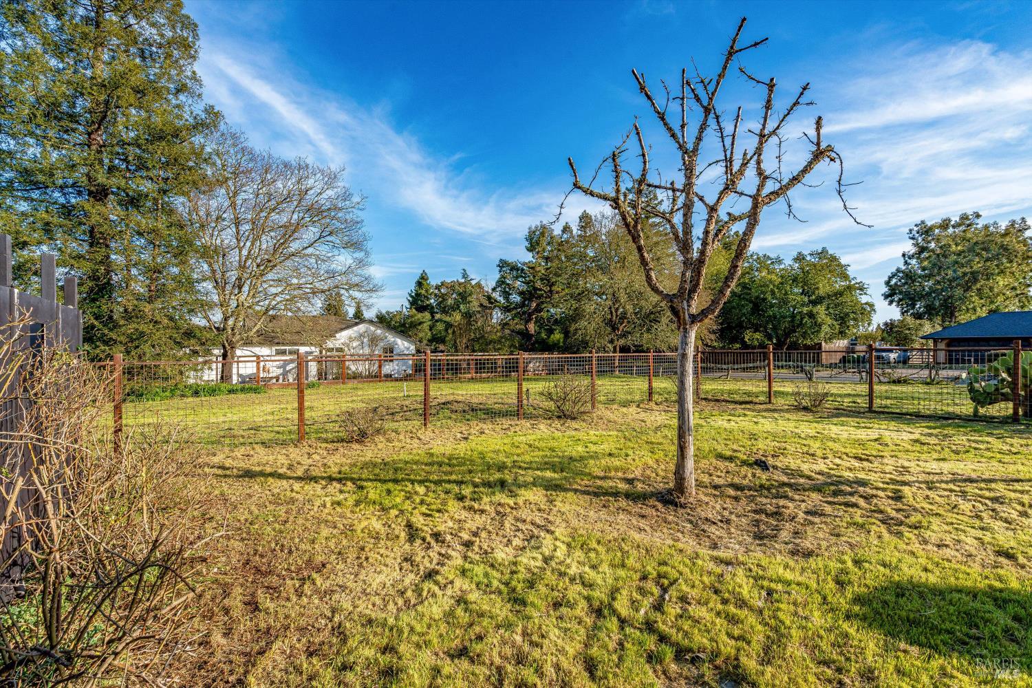 985 Gumview Road Windsor, CA 95492 - Photo 43 of 48 a view of a yard with swimming pool