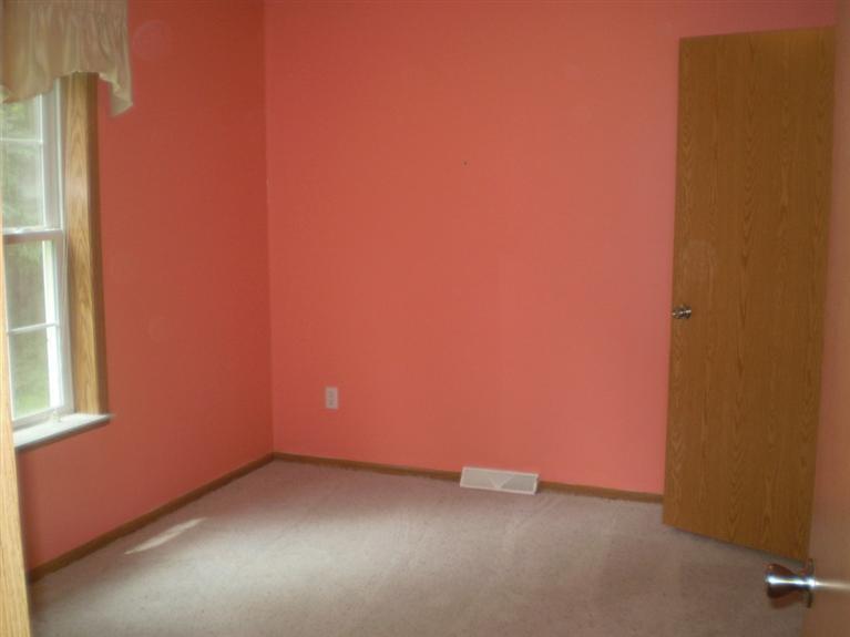 9520 MacArthur Road Saranac, MI 48881 - Photo 5 of 19 Additional Photo