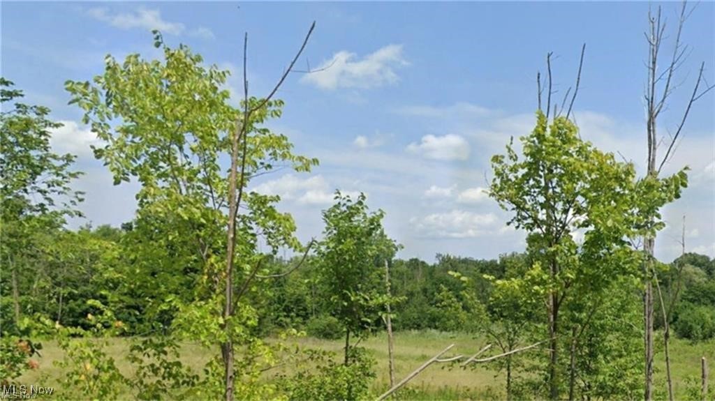 7687 Ravenna Road Hudson, OH 44236 - Photo 7 of 27