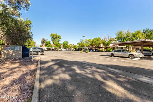 a view of a trees with a big yard