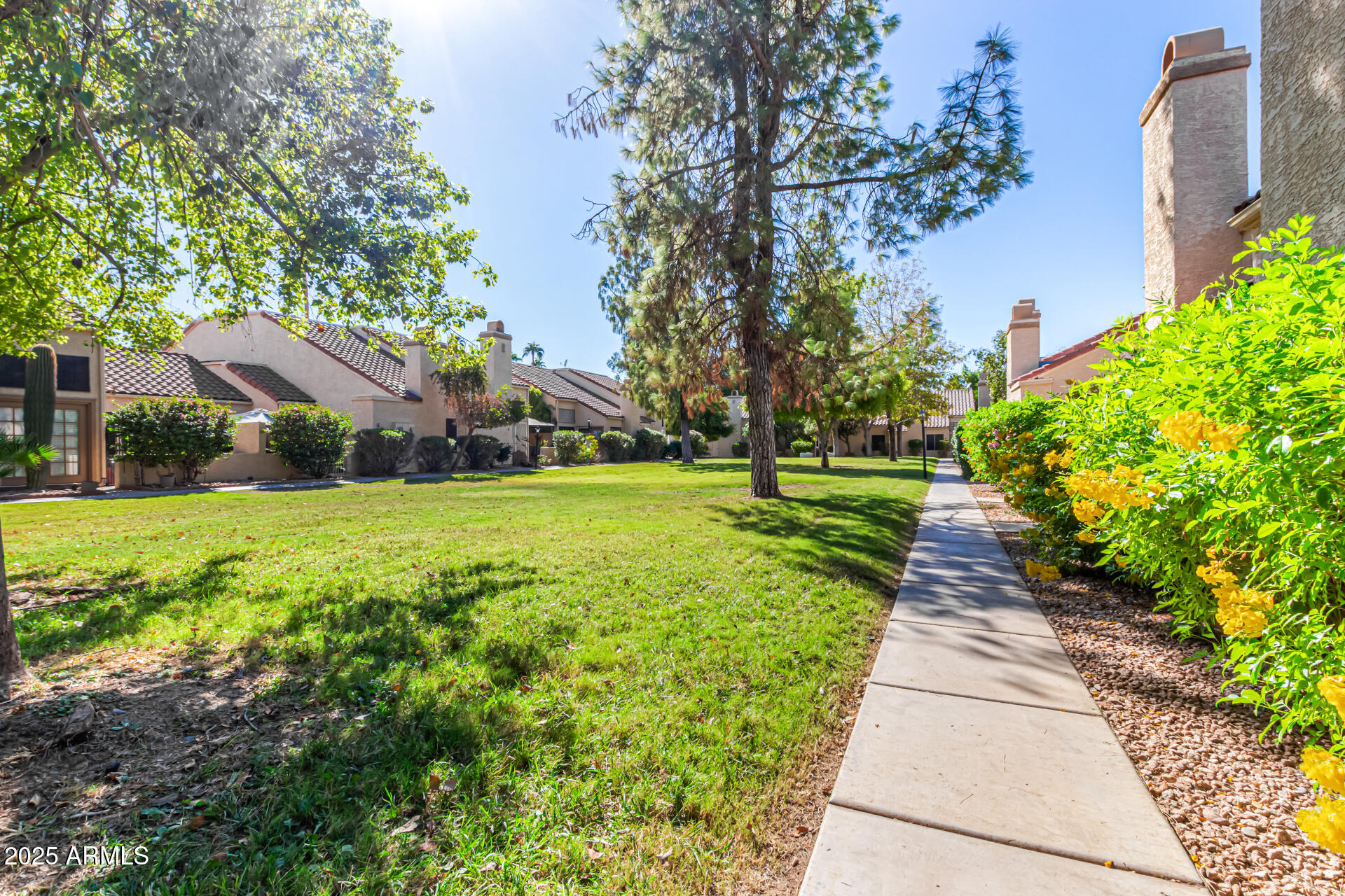 602 North May, Unit 49 Mesa, AZ 85201 - Photo 27 of 32 a view of a park with large trees