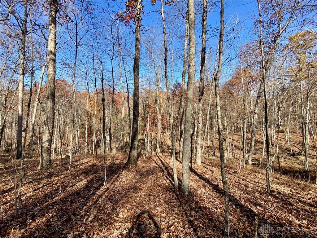 2 Greenbrier Road Seaman, OH 45679 - Photo 10 of 17
