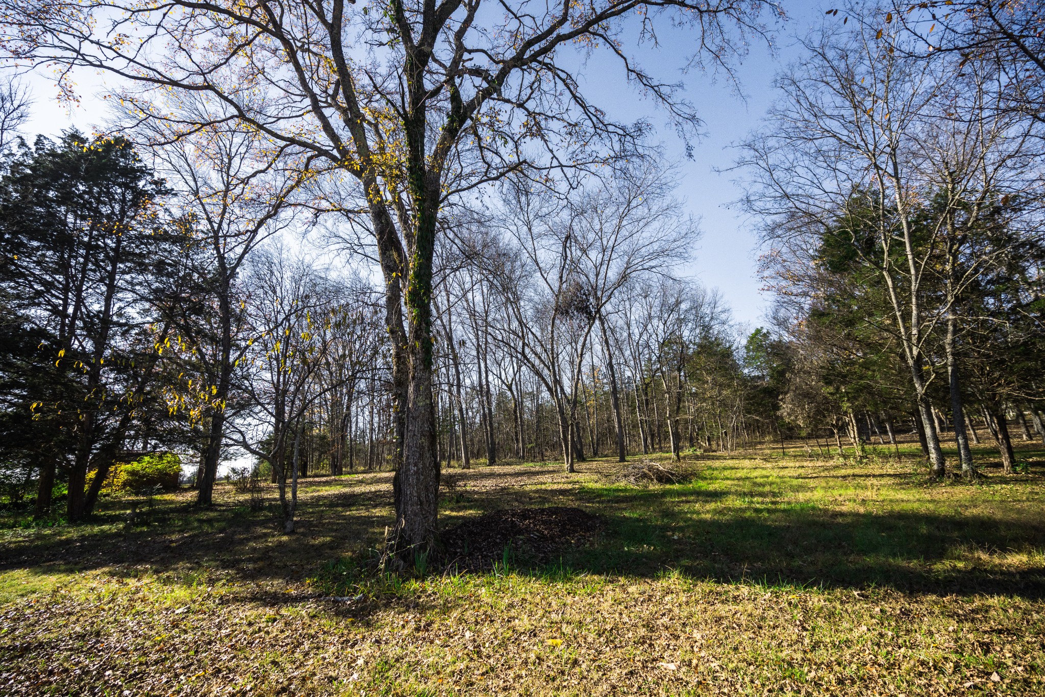 291 Benders Ferry Road Mount Juliet, TN 37122 - Photo 35 of 38 Gallery Image 35