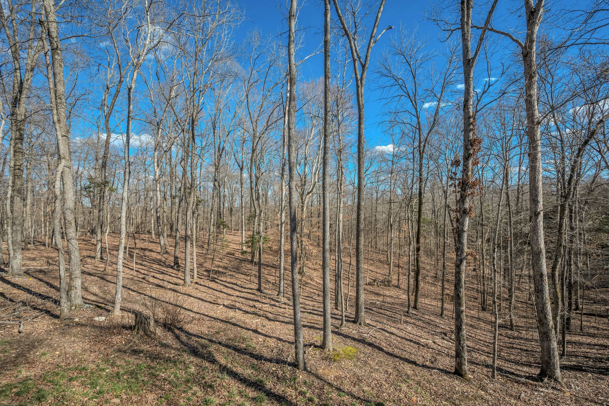 988 Slayden Wood Road Vanleer, TN 37181 - Photo 28 of 32 Gallery Image 28