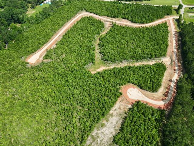 2 436th Highway Angie, LA 70426 - Photo 17 of 19