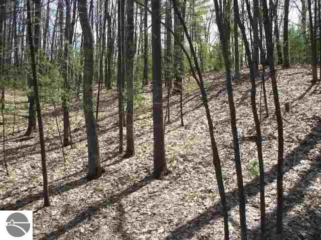 2241 Gibbs Road Traverse City, MI 49696 - Photo 13 of 15 1700189-12.JPG