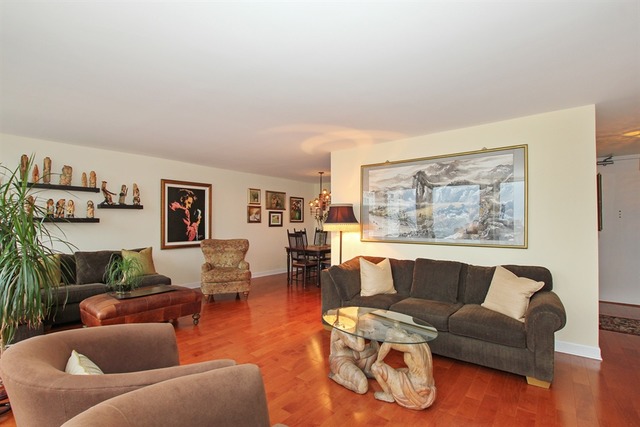 111 East Chestnut Street, Unit 28G Chicago, IL 60611 - Photo 4 of 10