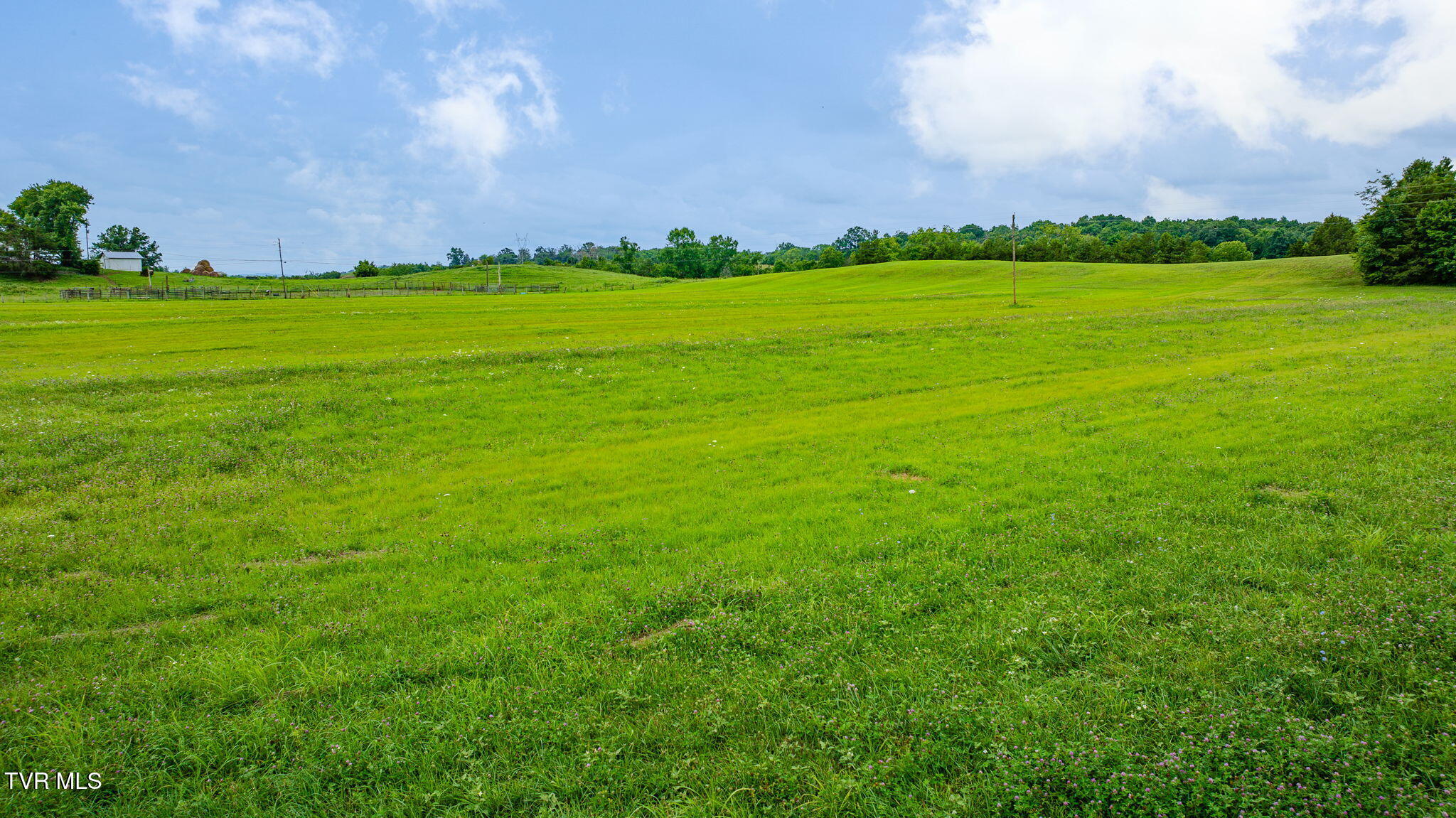 1655 Kenneytown Road Greeneville, TN 37745 - Photo 52 of 59 115