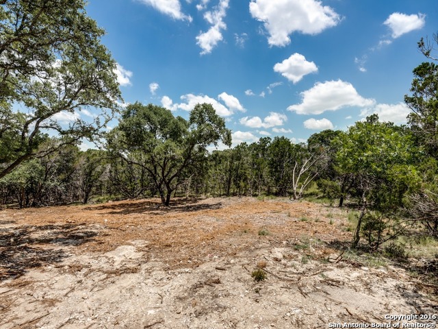 192 Weatherby Drive, Unit A Spring Branch, TX 78070 - Photo 25 of 25 a view of empty space with large trees
