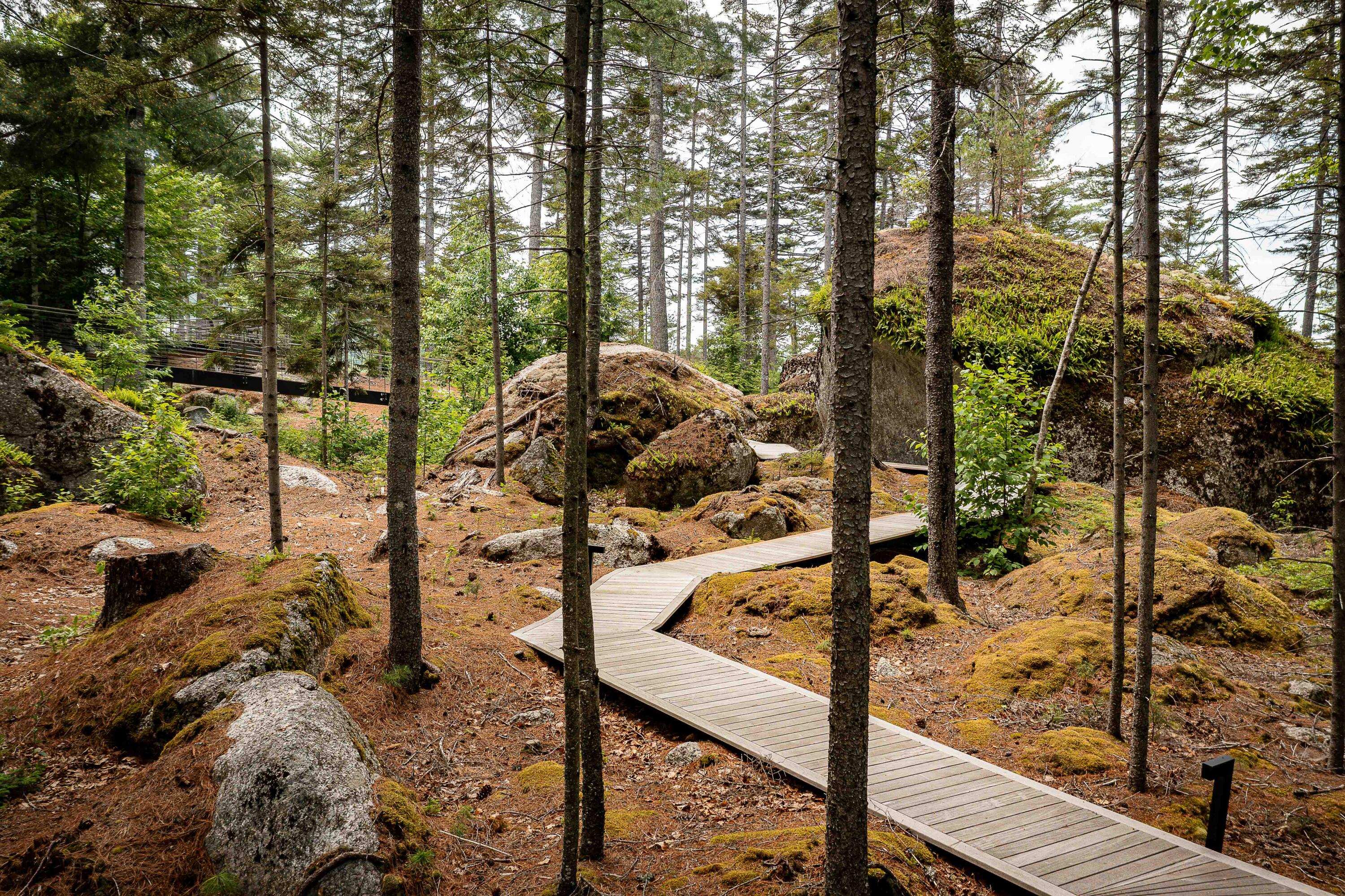 12 Moose Tuchus Point Dedham, ME 04429 - Photo 51 of 66 Walkway