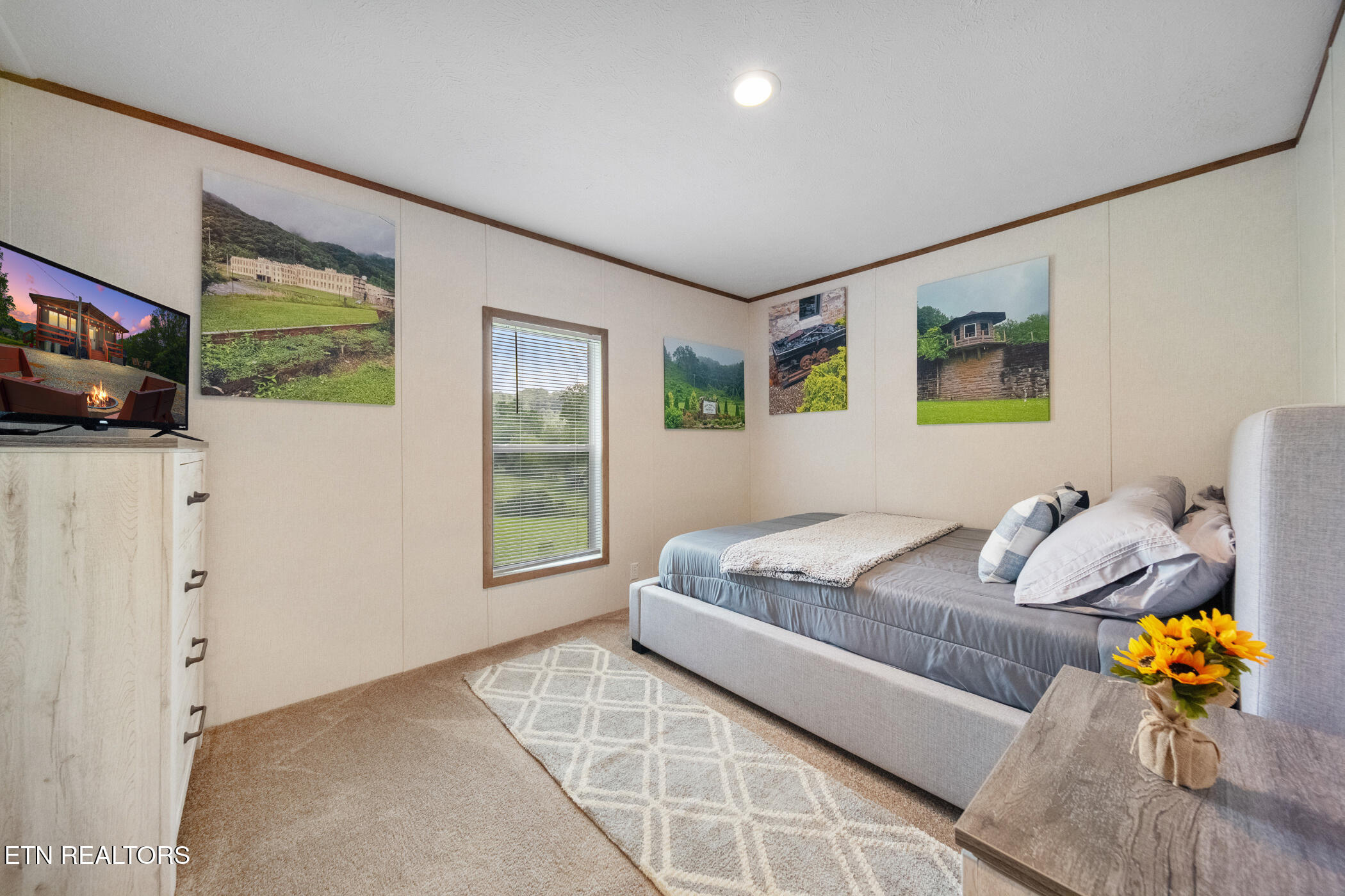 3329 Stinking Creek Road Pioneer, TN 37847 - Photo 32 of 58 dsc09907