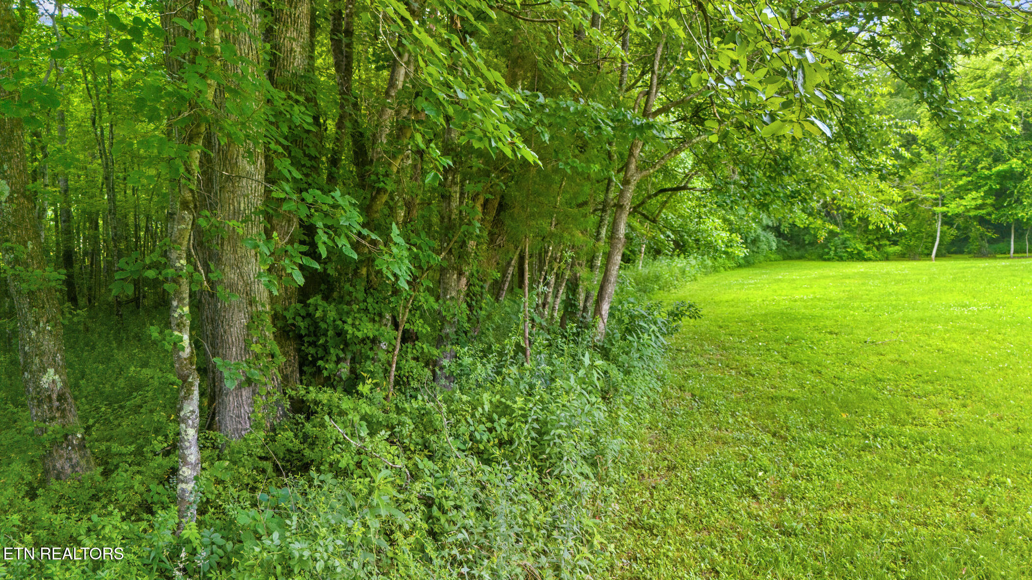 3329 Stinking Creek Road Pioneer, TN 37847 - Photo 55 of 58 dji_20250627125320_0371_d