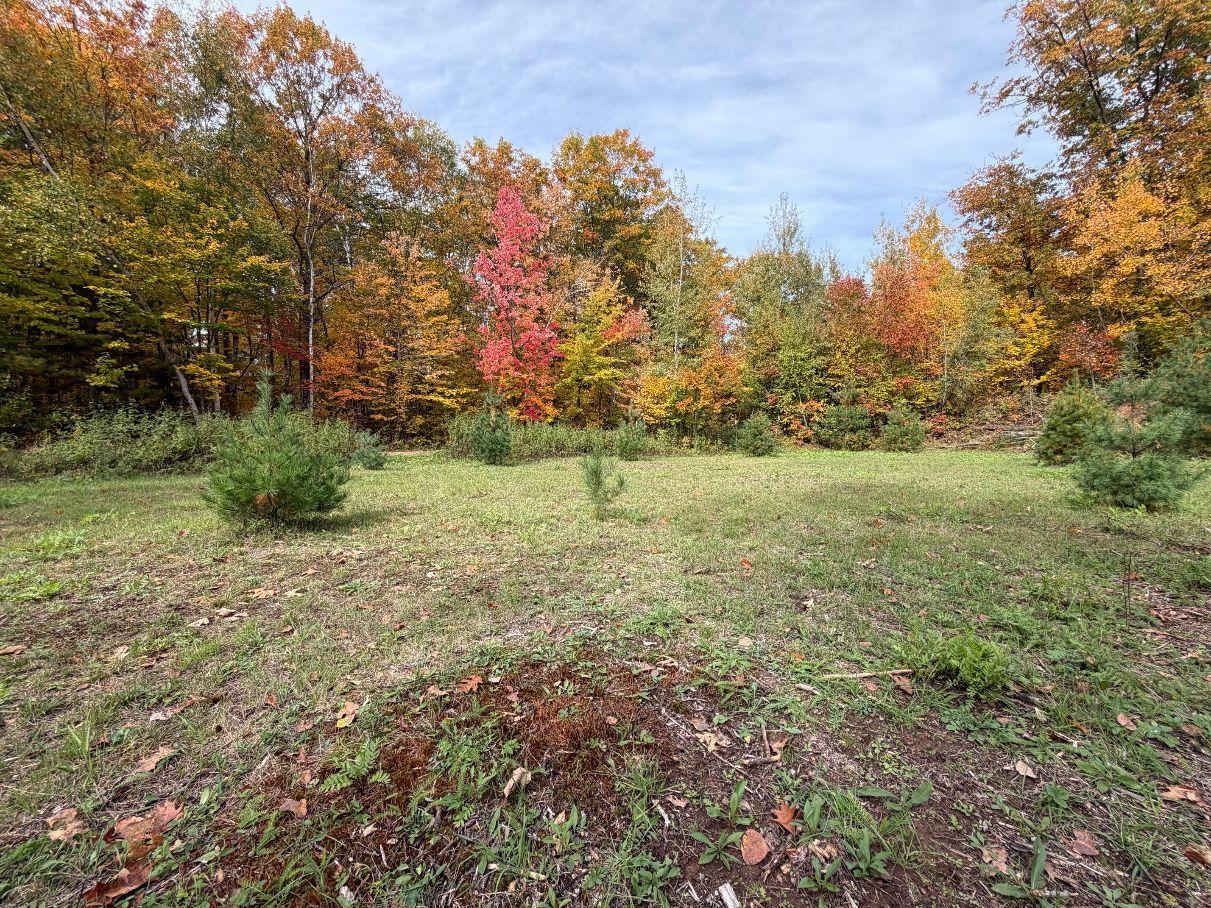 Tbd Estates Range Road Kerrick, MN 55756 - Photo 1 of 29 Gallery Image 1