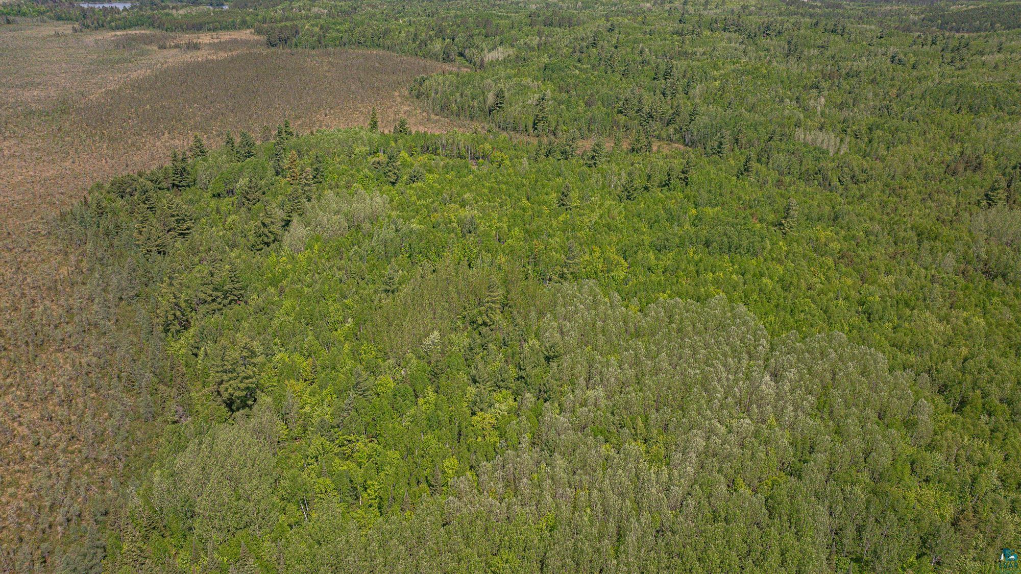Tbd Tbd Muckwa Lake Road Babbitt, MN 55706 - Photo 30 of 54