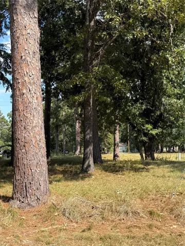 $15,000 | 0 Peach Point Drive, Trinity, TX 75862