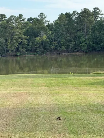 $15,000 | 0 Peach Point Drive, Trinity, TX 75862