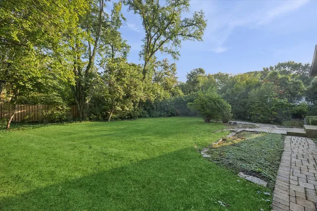 a view of a grassy field with trees in the background