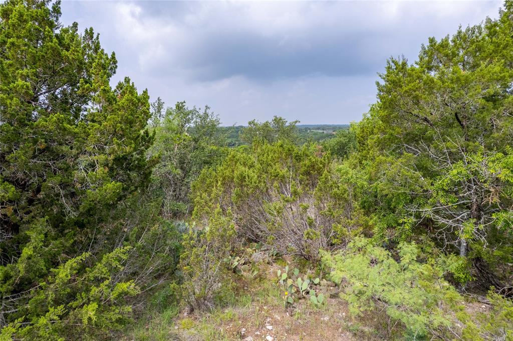 0 Anglers Point Bluff Dale, TX 76433 - Photo 12 of 35 a backyard of a house with lots of trees