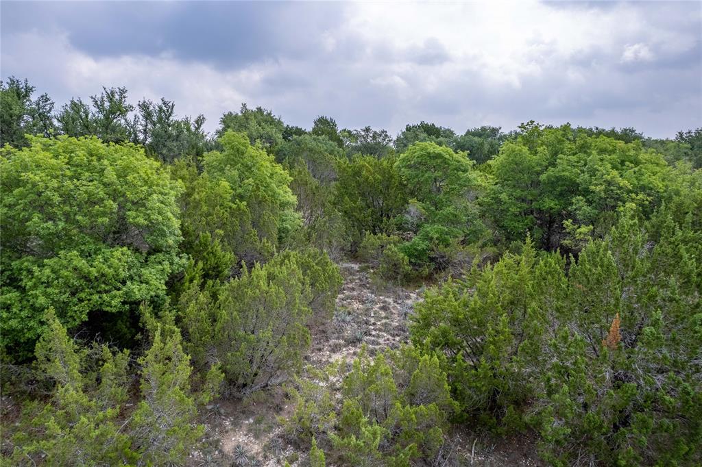 0 Anglers Point Bluff Dale, TX 76433 - Photo 23 of 35 a view of a garden with a building in front of it