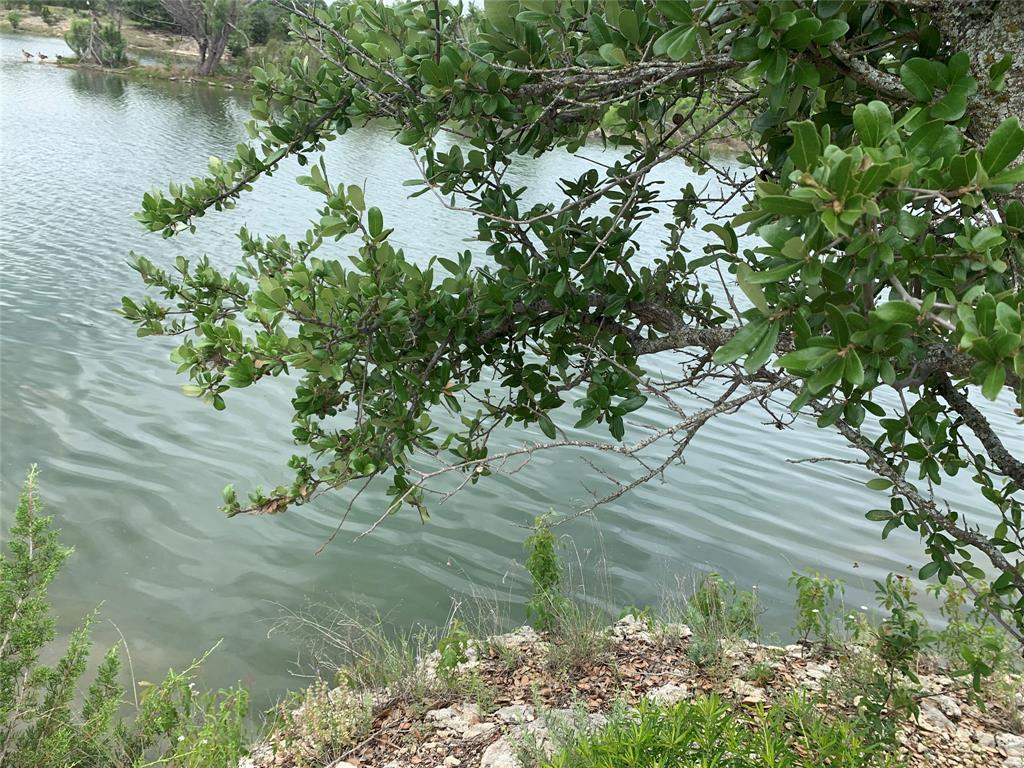 0 Anglers Point Bluff Dale, TX 76433 - Photo 3 of 35 a view of a lake with a tree