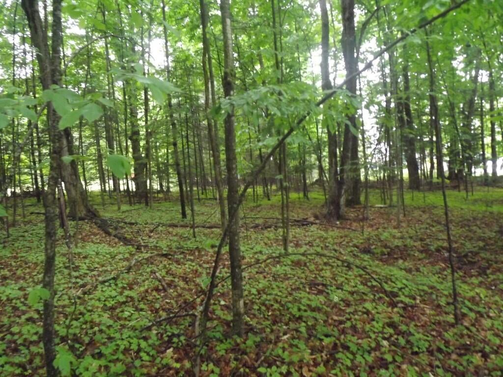East Mullett Lake Road Indian River, MI 49749 - Photo 32 of 42 Gallery Image 32
