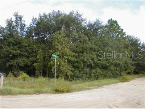 0 Cor Lake Hawthorne, FL 32640 - Photo 1 of 1