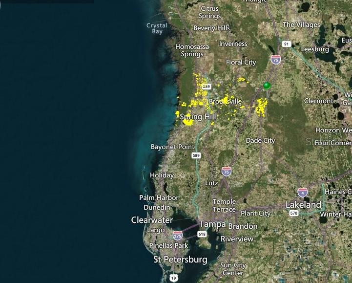 Goethals Street Webster, FL 33597 - Photo 2 of 2 a picture of flowers