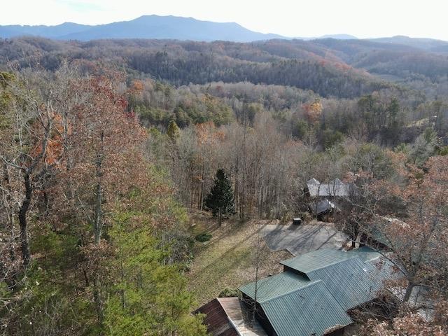 2001 Regans Ridge Way, Unit RIDGETOPLODGE Sevierville, TN 37876 - Photo 40 of 40 Gallery Image 40