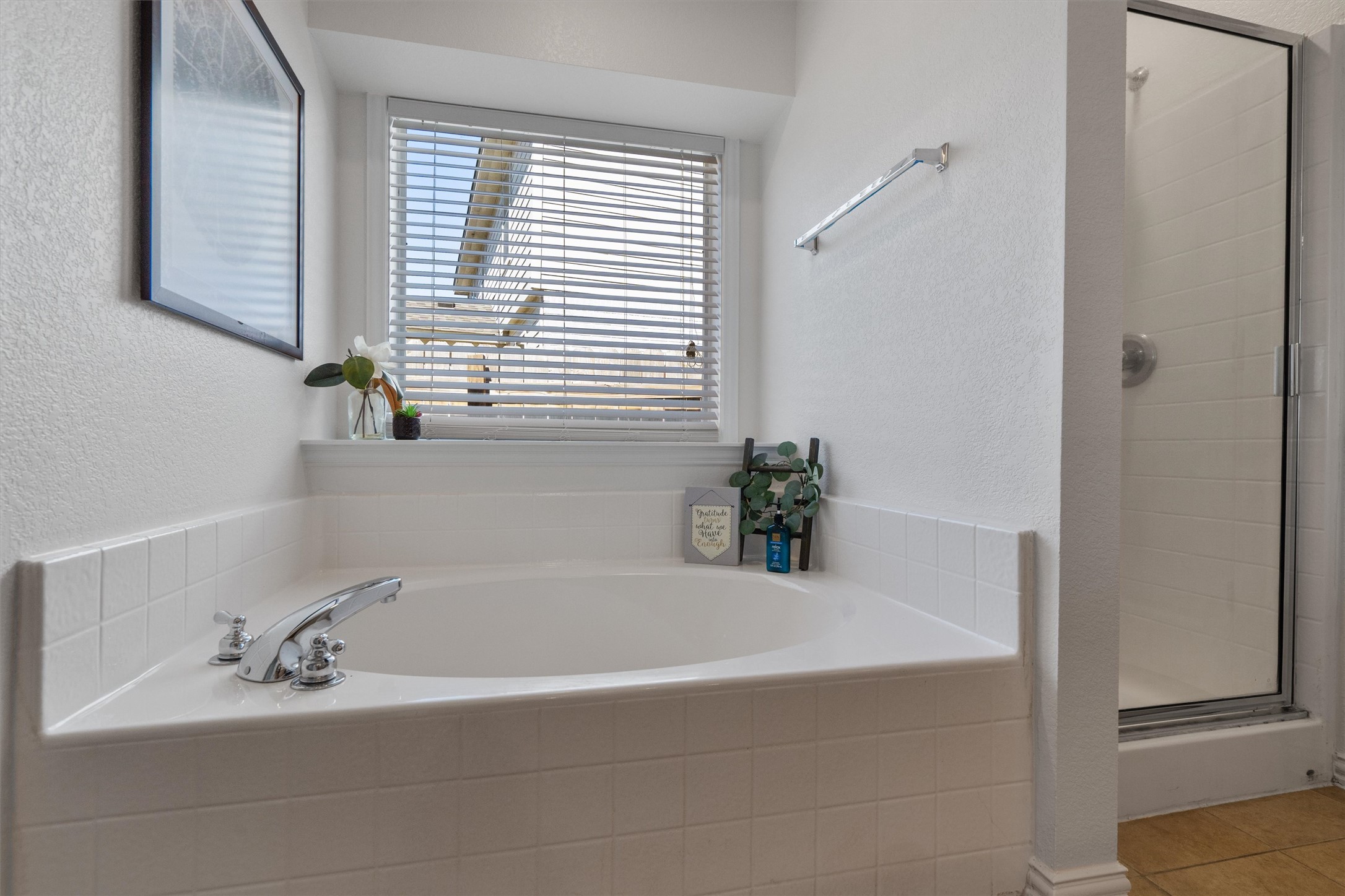 2801 Kickapoo Cavern Drive Pflugerville, TX 78660 - Photo 23 of 38 Primary Bathroom