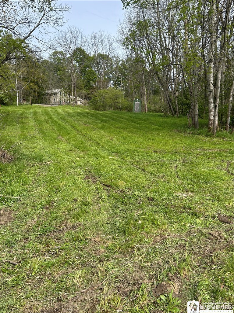 3675 Gerry Levant Road Ellicott, NY 14733 - Photo 5 of 10