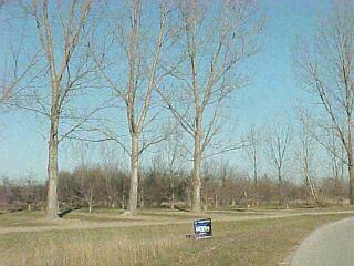 2 West Cleveland Road Colona, IL 61241 - Photo 1 of 1 Primary Photo