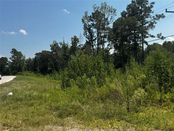 $2,500 | 24562 Fm 1485 Road, New Caney, TX 77357