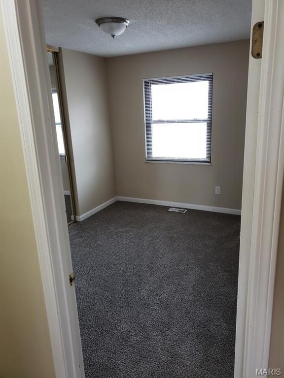 520 Trails Ridge Court Glen Carbon, IL 62034 - Photo 4 of 17