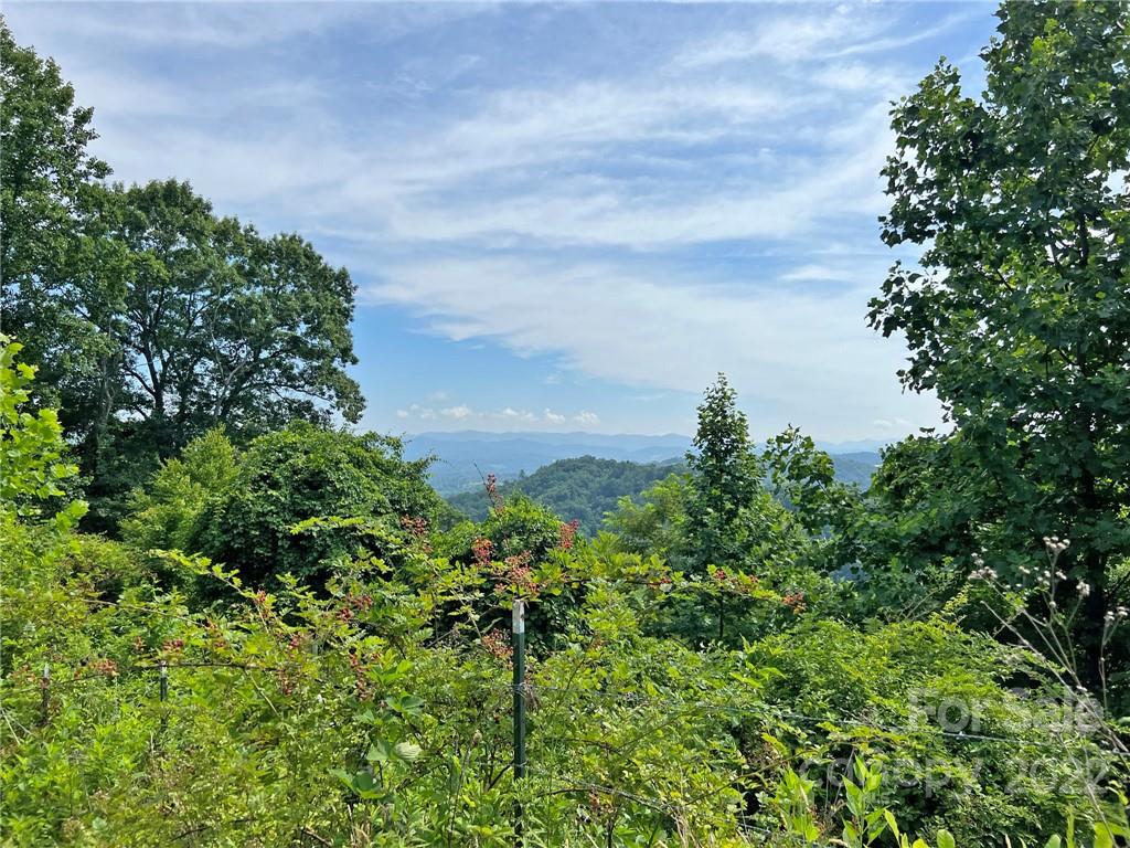 1696 Caney Fork Road Marshall, NC 28753 - Photo 2 of 11