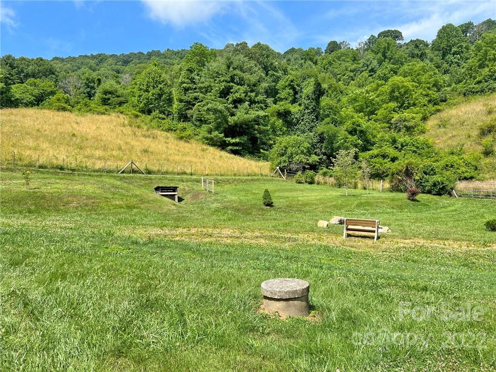 1696 Caney Fork Road Marshall, NC 28753 - Photo 5 of 11 a view of a lake with a yard