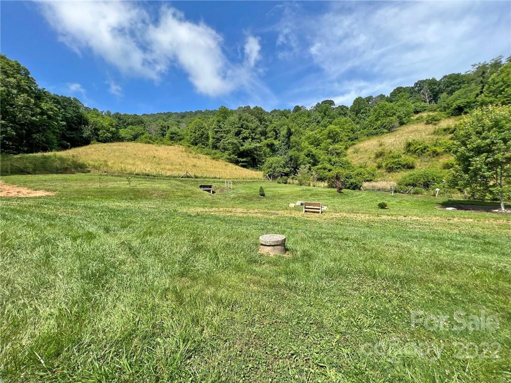 1696 Caney Fork Road Marshall, NC 28753 - Photo 6 of 11 a view of a field with an trees