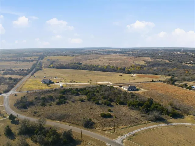 an aerial view of ocean and trees