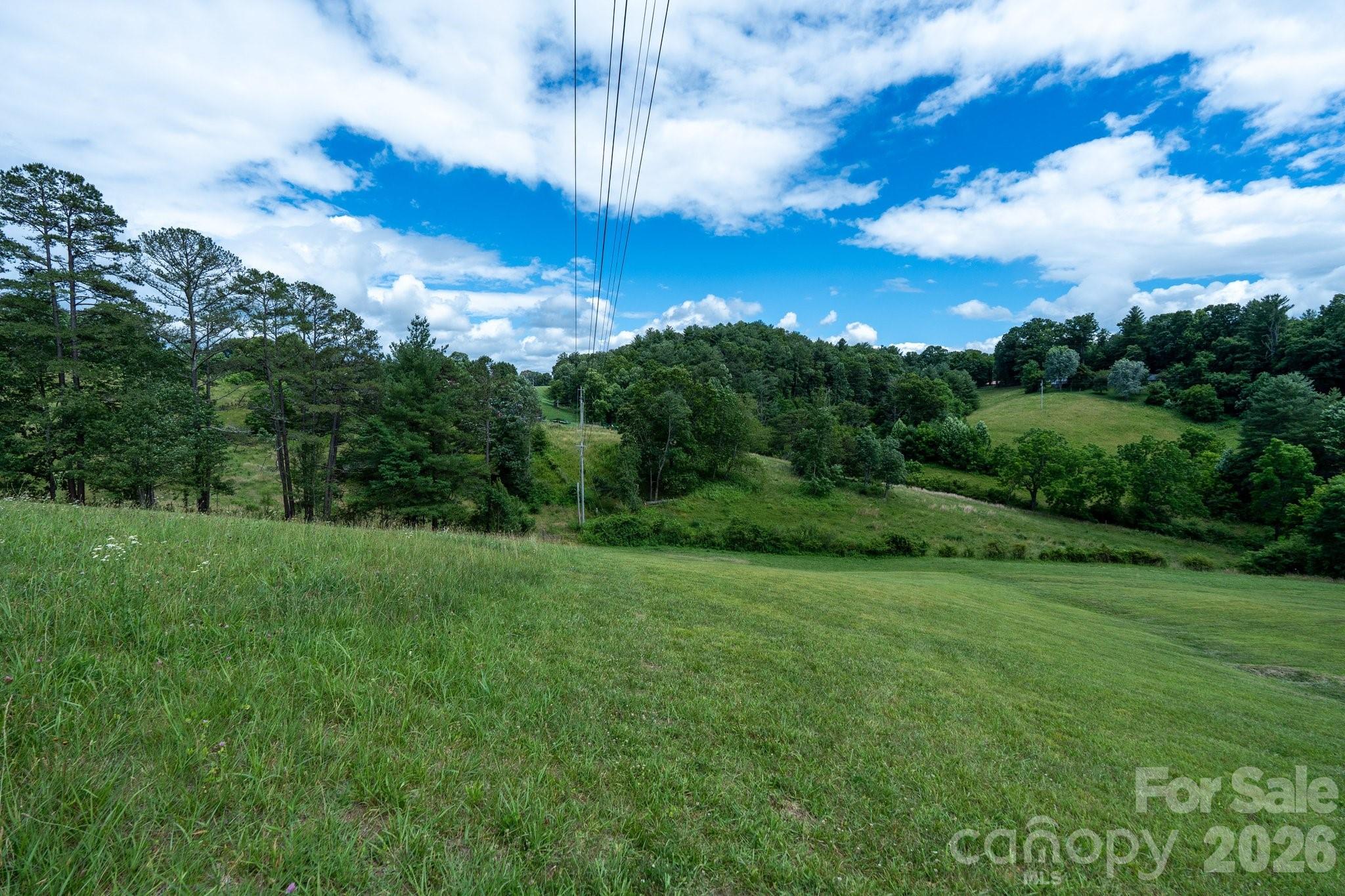 112 Grandview Road Alexander, NC 28701 - Photo 7 of 27