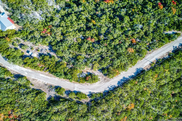 a view of a backyard with tree s