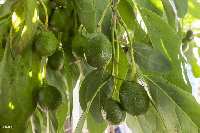 $1,333,000 | 366 Court Avenue, Ventura, CA 93003