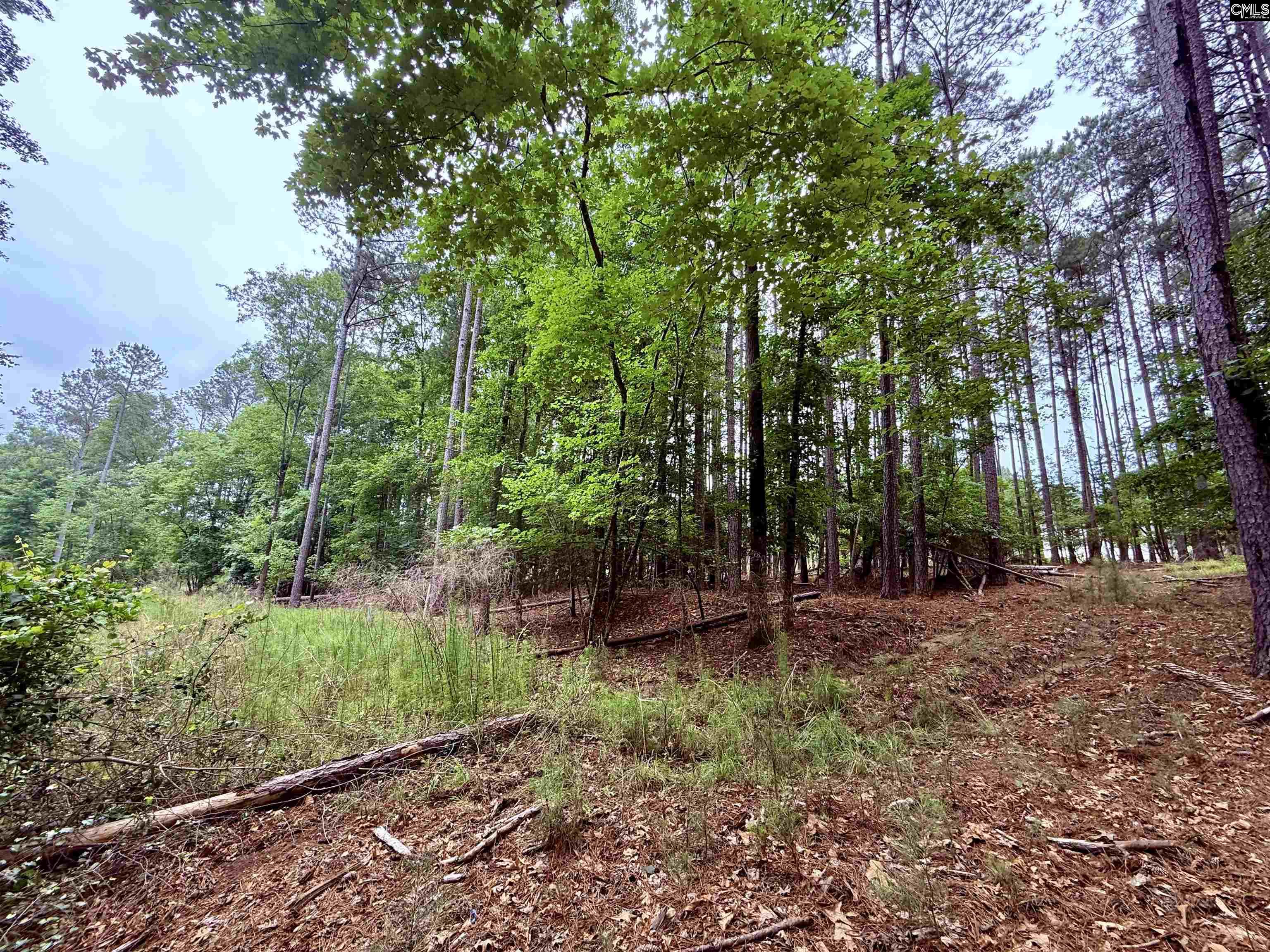 84 Timber Trl Lane Prosperity, SC 29127 - Photo 7 of 18