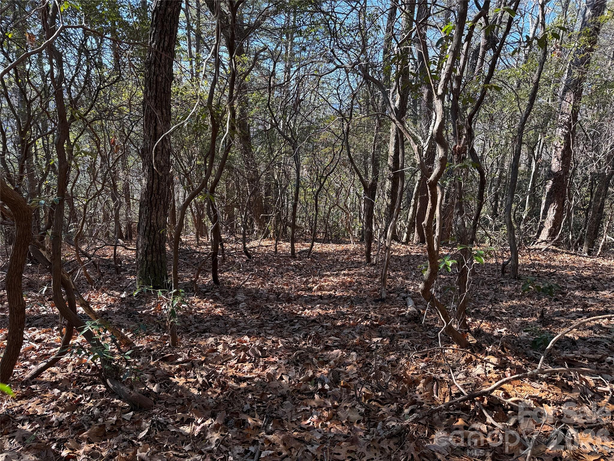 Tbd Bobcat Mountain Road, Unit 27 Purlear, NC 28665 - Photo 11 of 42 a view of outdoor space
