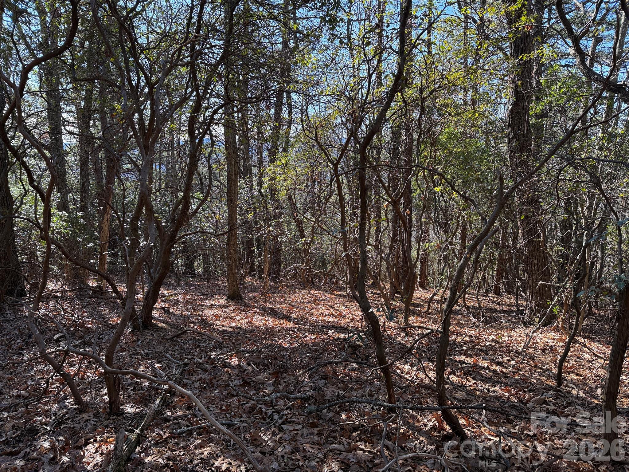 Tbd Bobcat Mountain Road, Unit 27 Purlear, NC 28665 - Photo 12 of 42 a view of trees with lots of trees