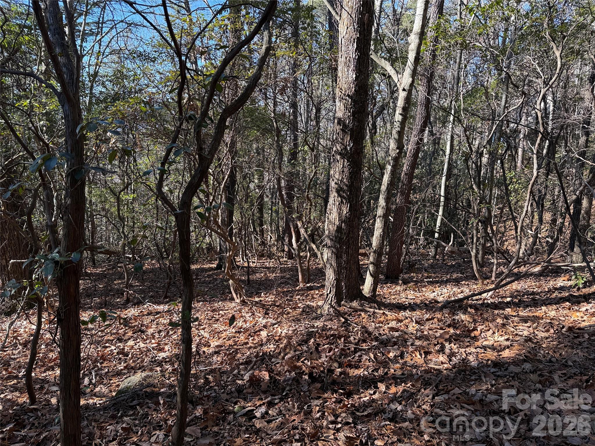 Tbd Bobcat Mountain Road, Unit 27 Purlear, NC 28665 - Photo 13 of 42 a view of a tree in a yard