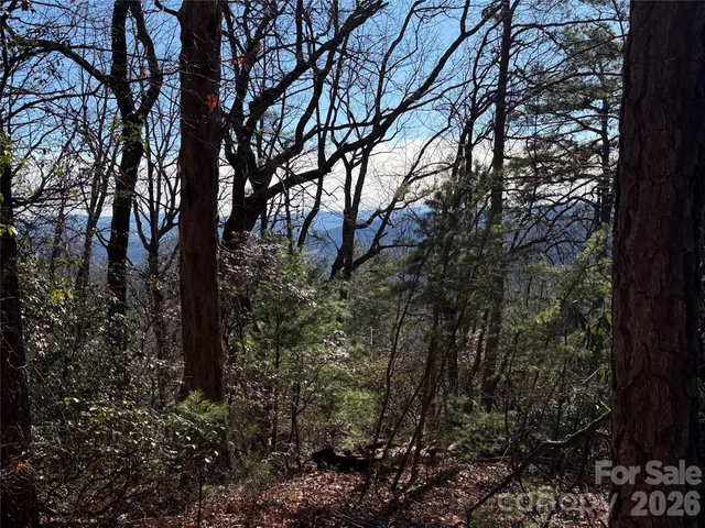 a view of outdoor space with trees