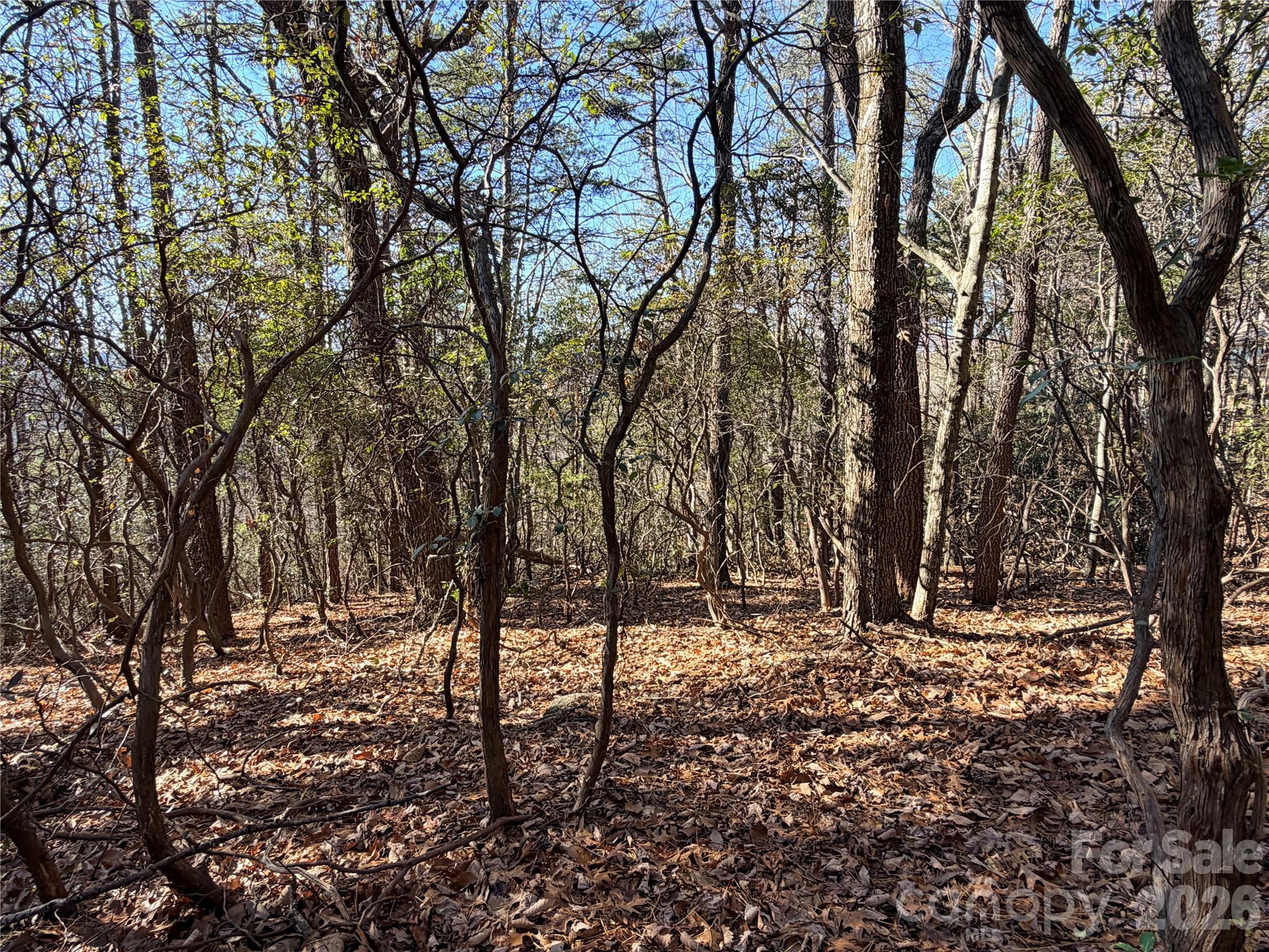 Tbd Bobcat Mountain Road, Unit 27 Purlear, NC 28665 - Photo 3 of 42 a view of outdoor space with trees