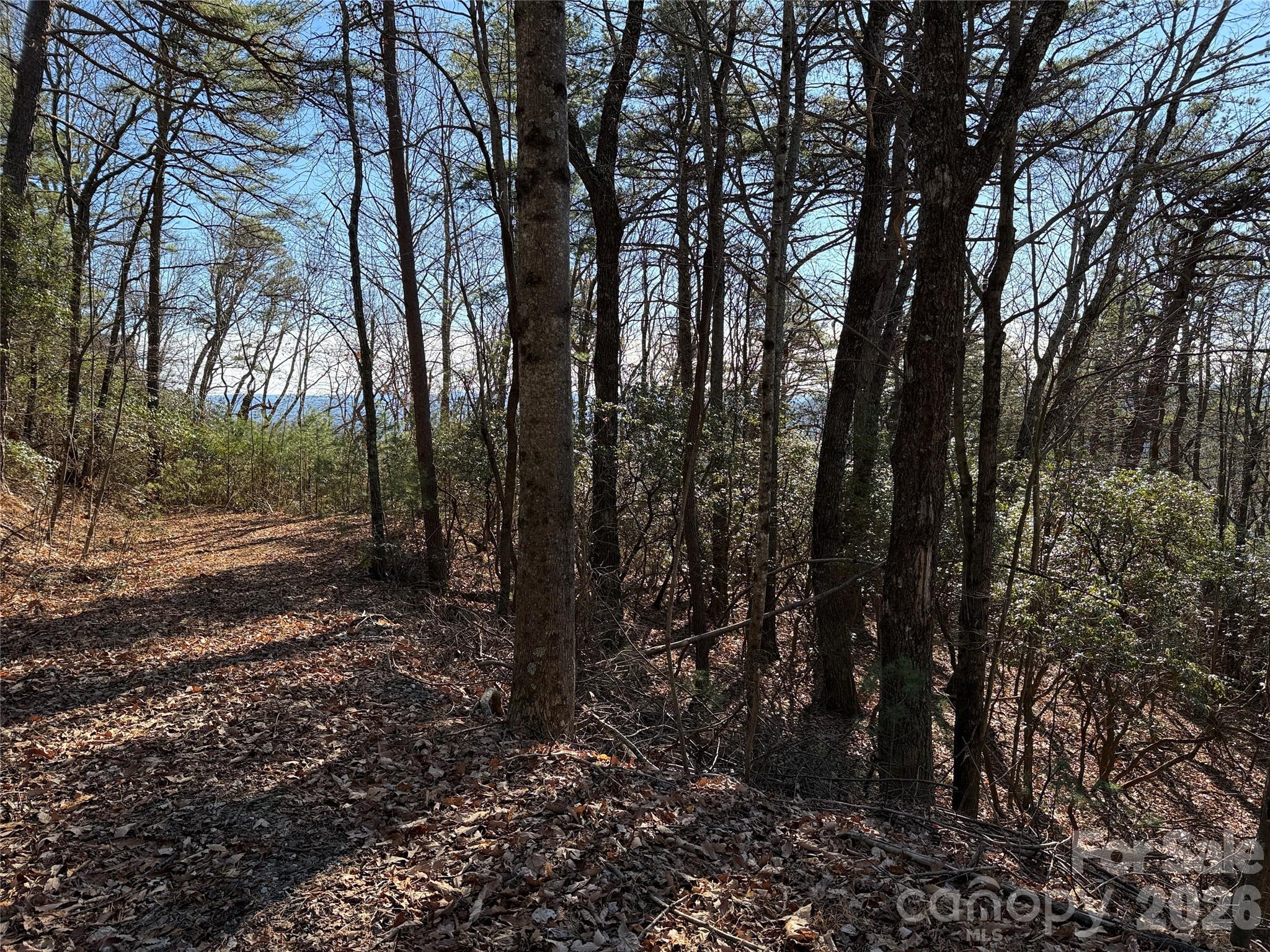 Tbd Bobcat Mountain Road, Unit 27 Purlear, NC 28665 - Photo 6 of 42 a view of a forest